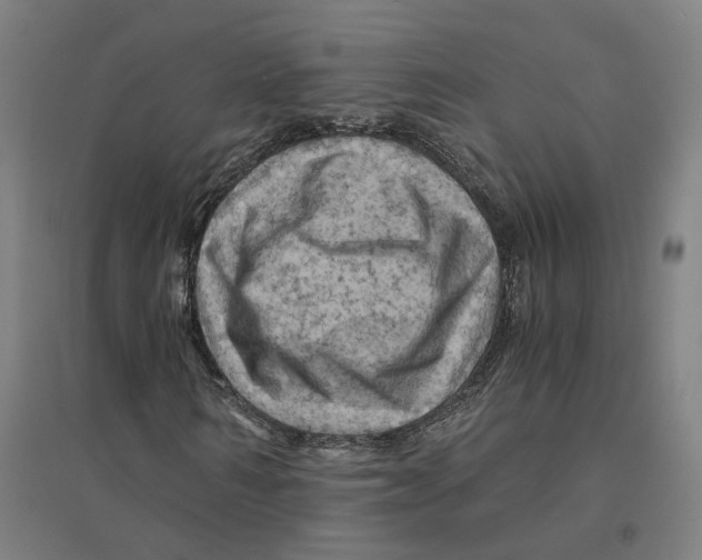 X0000094450962200712061157