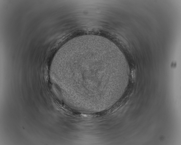 X0000094450963200712061157