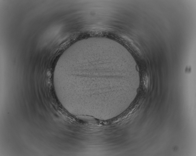 X0000094450964200712061157