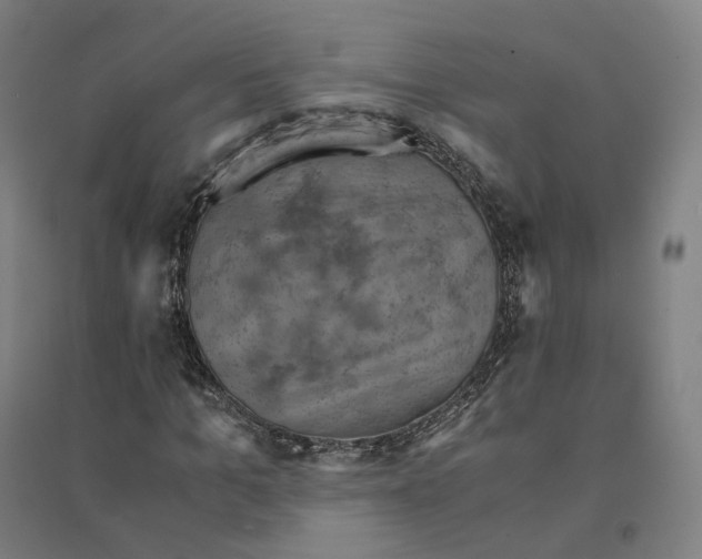 X0000094450965200712061157