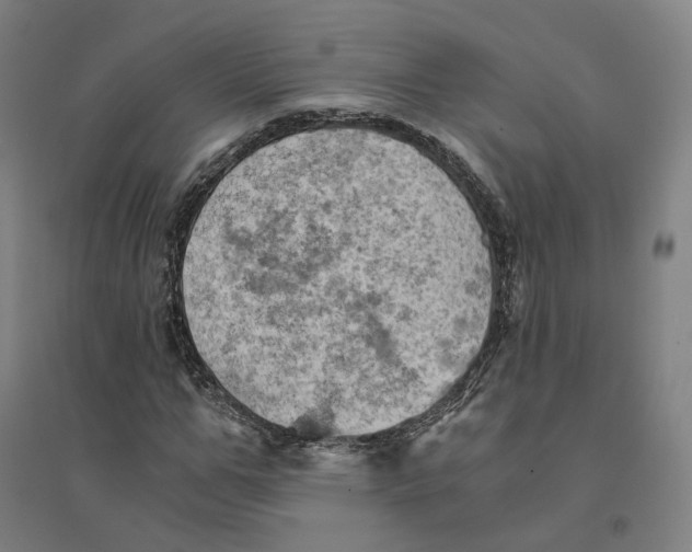 X0000094450967200712061157