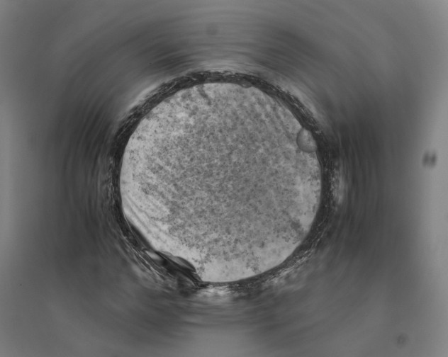 X0000094450968200712061157