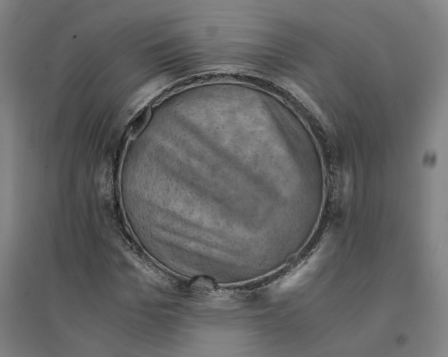 X0000094450969200712061157