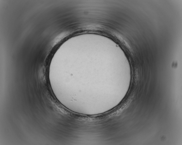 X0000094450970200712061157