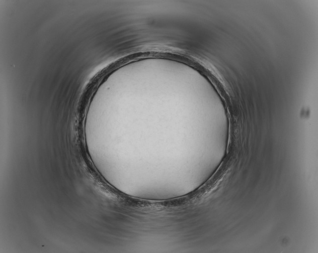 X0000094450971200712061157