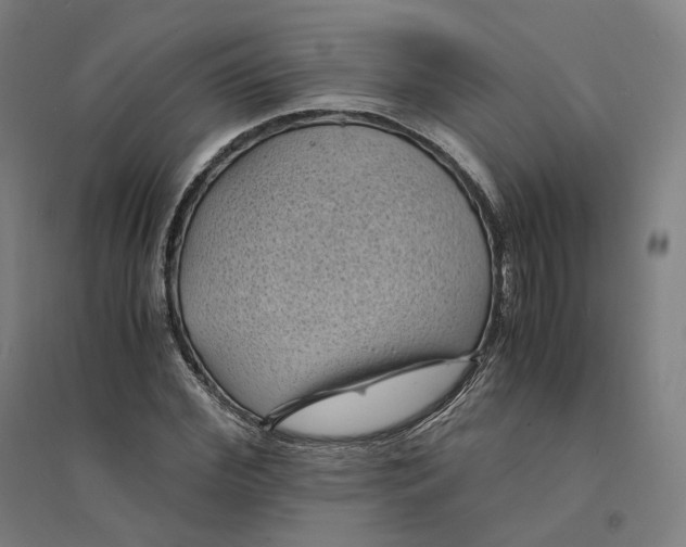 X0000094450972200712061157