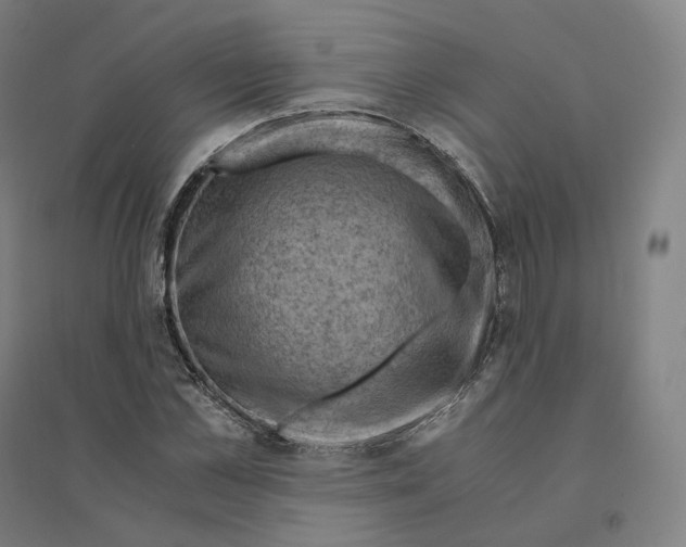 X0000094450973200712061157