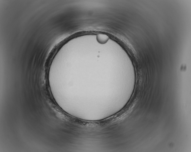 X0000094450974200712061157