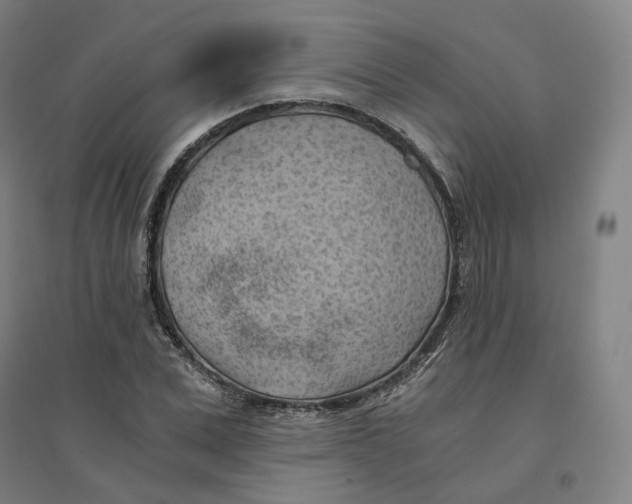 X0000094450975200712061157