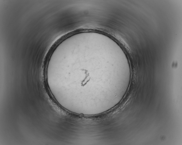 X0000094450976200712061157