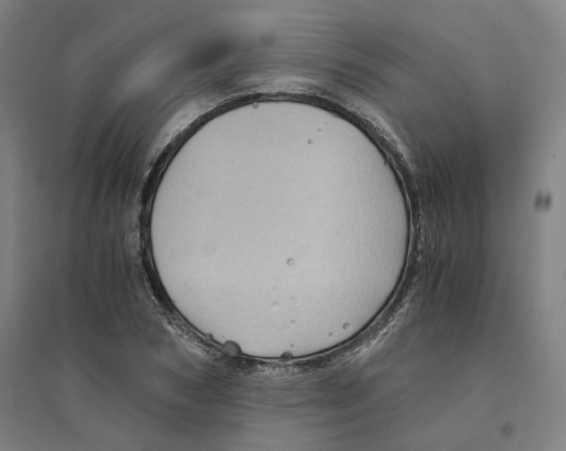 X0000094450978200712061157