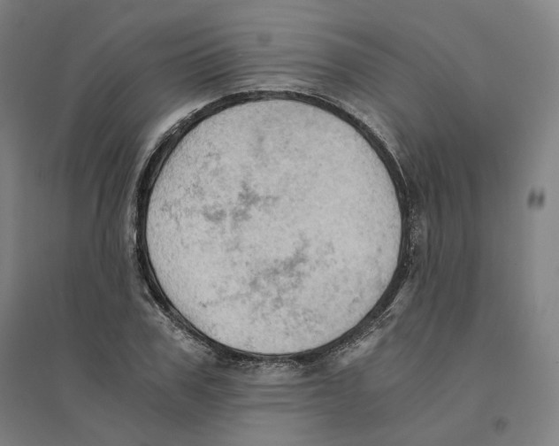 X0000094450979200712061157