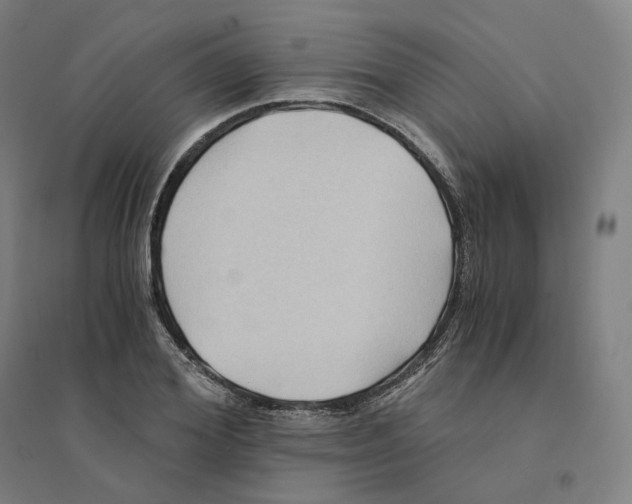 X0000094450980200712061157