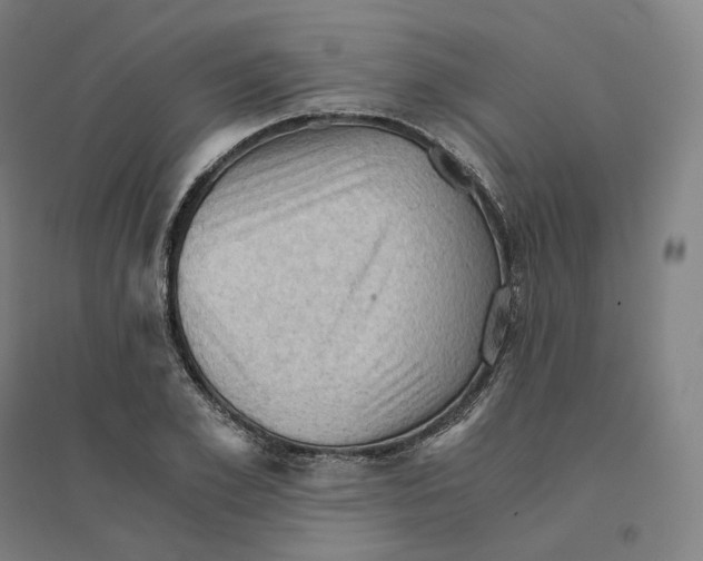 X0000094450981200712061157