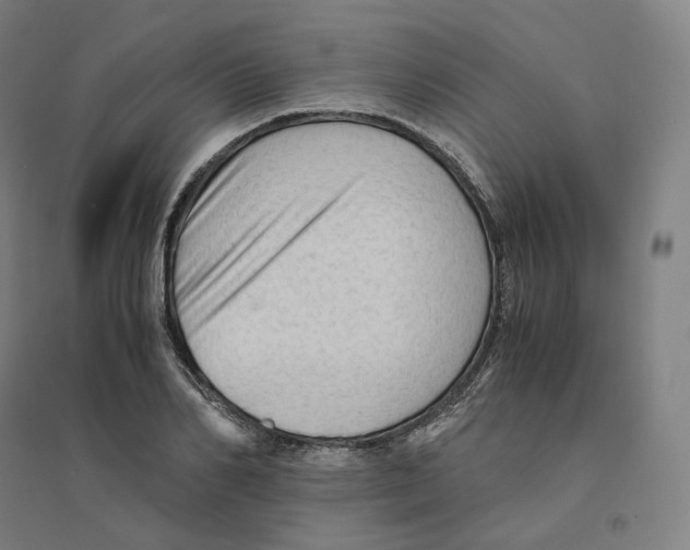 X0000094450982200712061157