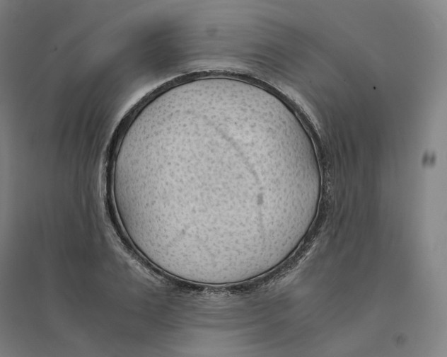 X0000094450983200712061157