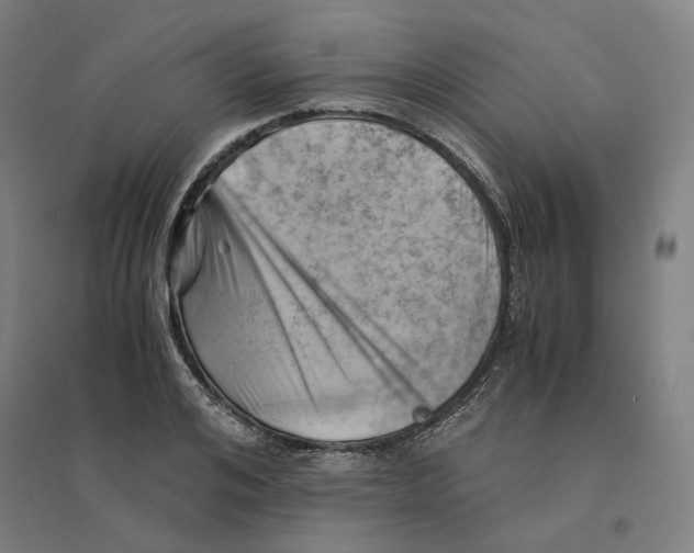 X0000094450984200712061157