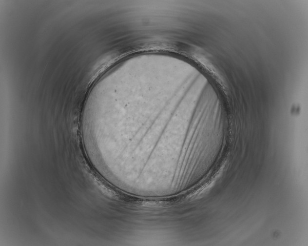 X0000094450985200712061157