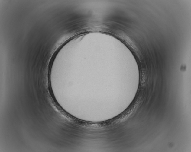 X0000094450986200712061156