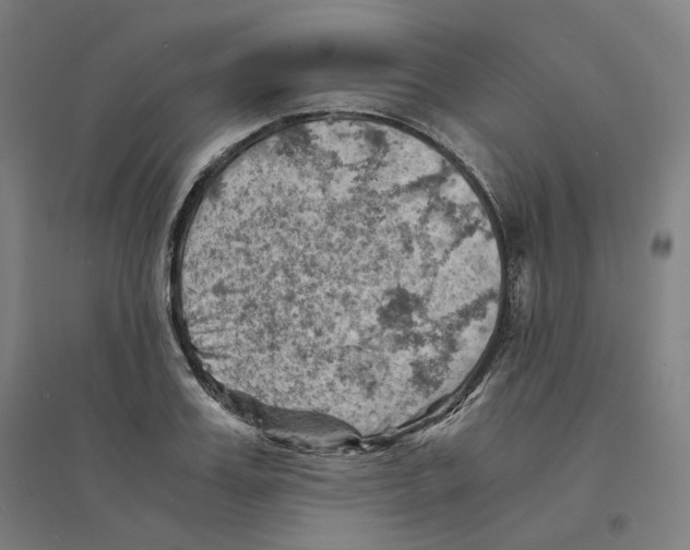 X0000094450987200712061156