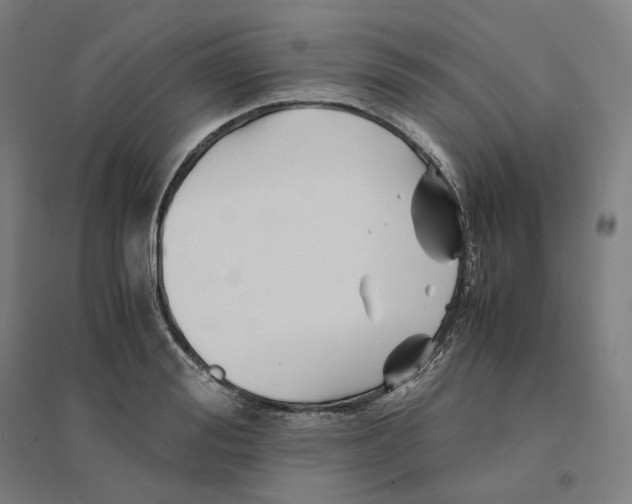 X0000094450988200712061156