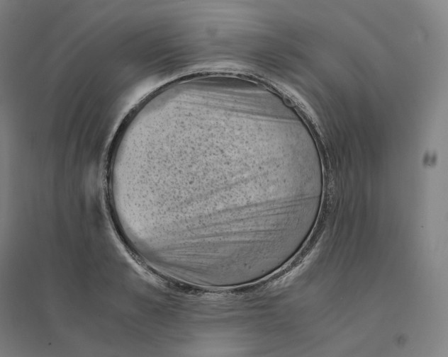 X0000094450989200712061156