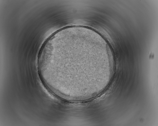 X0000094450990200712061156