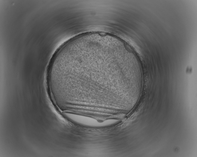 X0000094450991200712061156