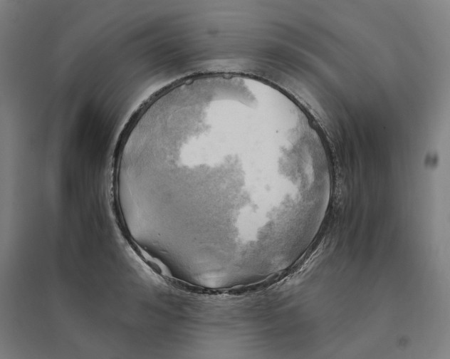 X0000094450992200712061156