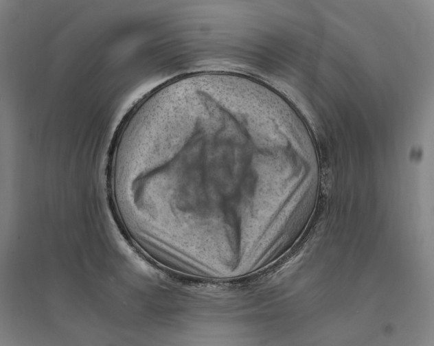 X0000094450995200712061156