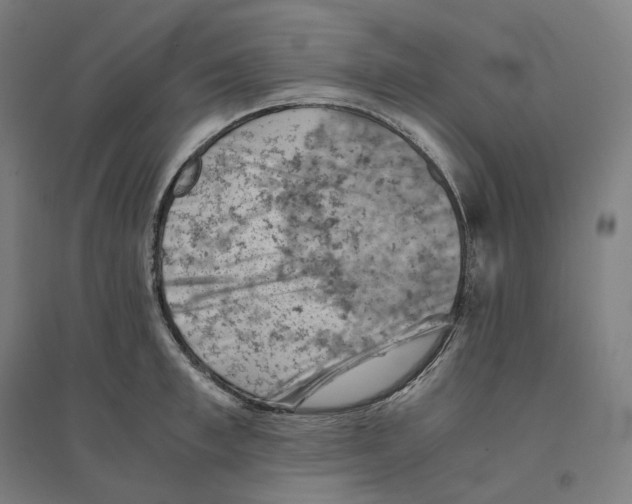 X0000094450997200712061156