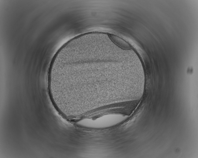 X0000094450999200712061156