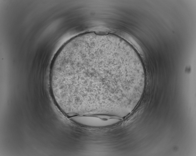 X0000094451000200712061156