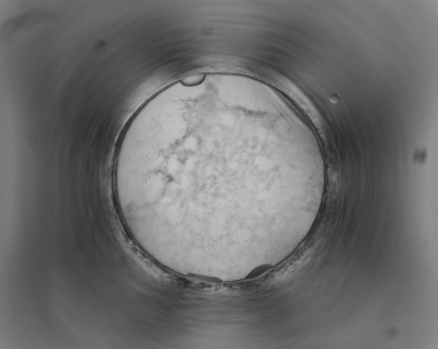 X0000094451002200712061156