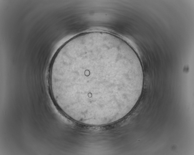 X0000094451003200712061156