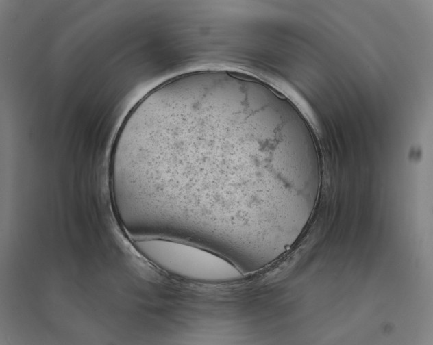 X0000094451004200712061156