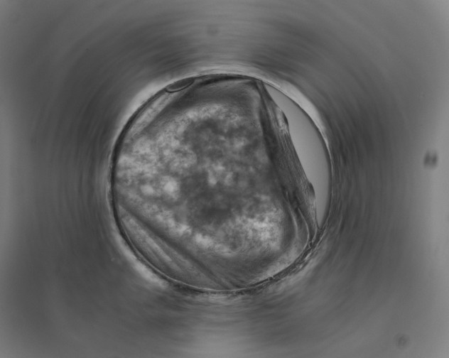 X0000094451005200712061156