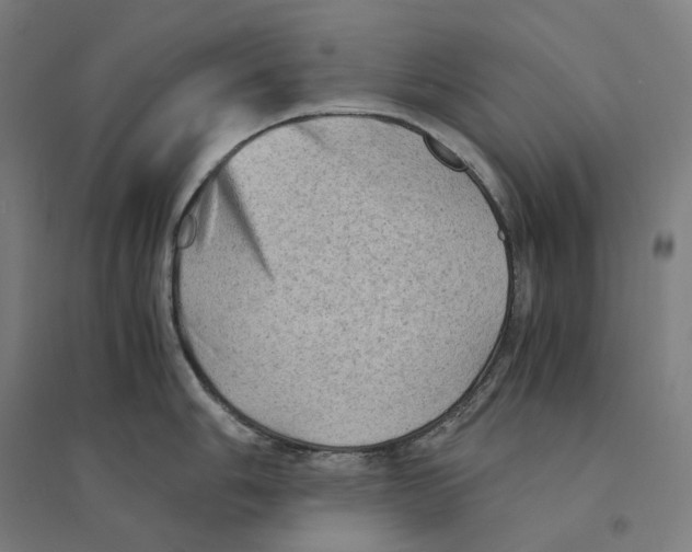 X0000094451006200712061156