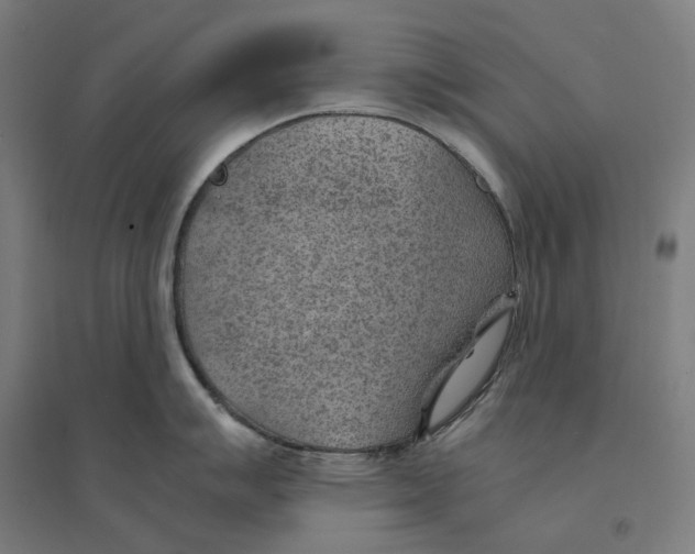 X0000094451007200712061156