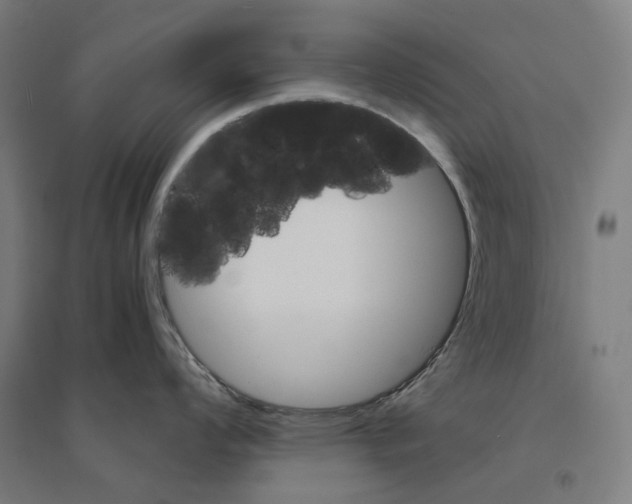 X0000094451008200712061156