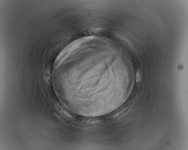 X0000094451011200712061156