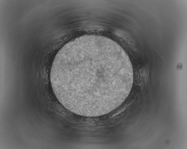 X0000094451013200712061156