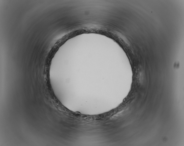 X0000094451016200712061156