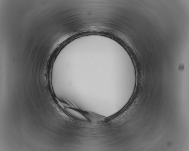 X0000094451018200712061156