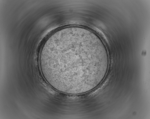 X0000094451019200712061156