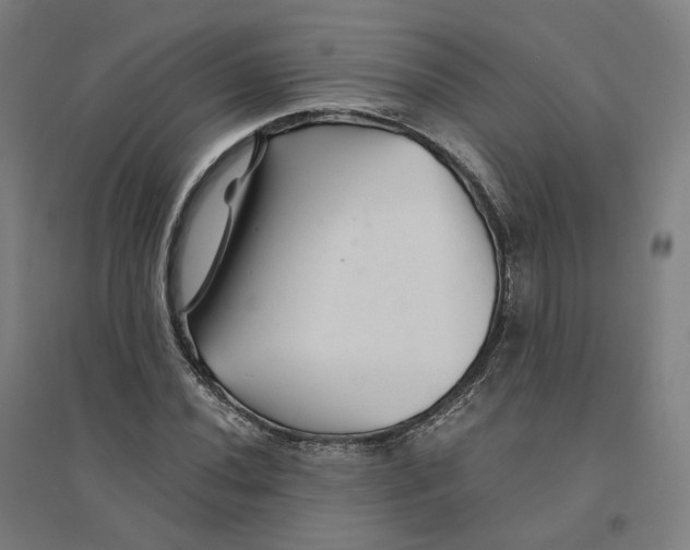 X0000094451020200712061156