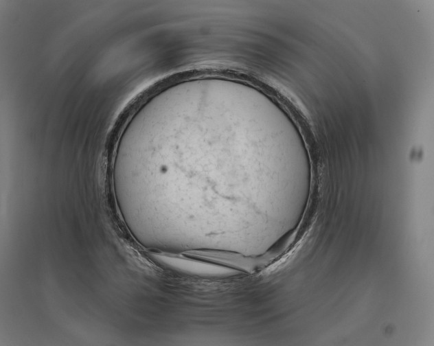 X0000094451021200712061156