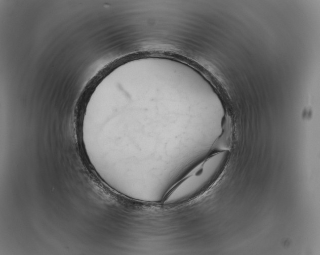 X0000094451022200712061156