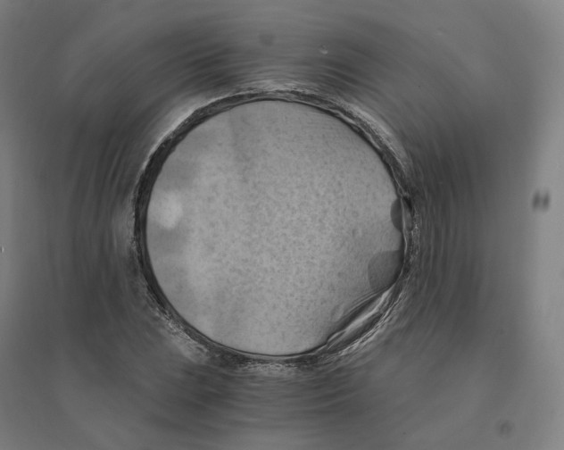 X0000094451023200712061156