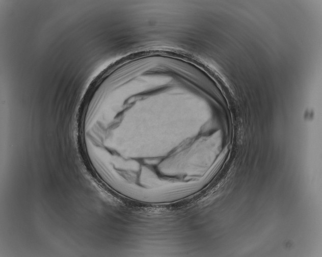 X0000094451024200712061156